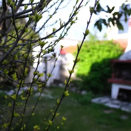 Solly's Garden House - πλάκα λιτοχώρου