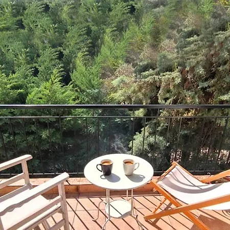 Villa Solly's Garden House - πλάκα λιτοχώρου *