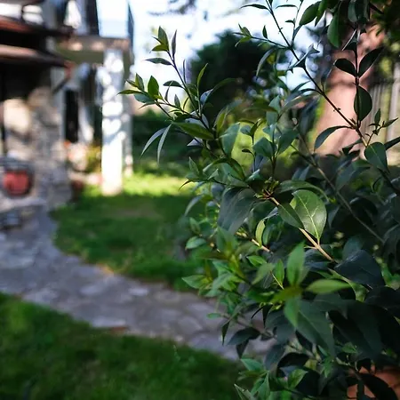 Villa Solly's Garden House - πλάκα λιτοχώρου *